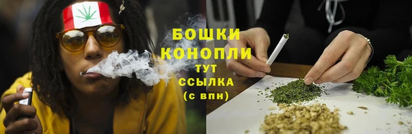 таблы Новозыбков