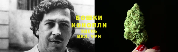 таблы Новозыбков