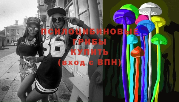 таблы Новозыбков