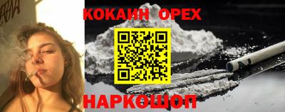 молекула духа Бийск