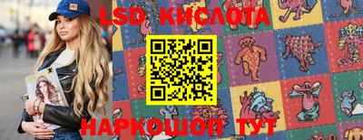 бошки Гатчина