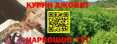 дмт Гай