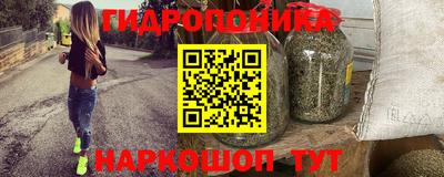 бошки Гатчина