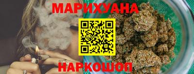 бошки Гатчина