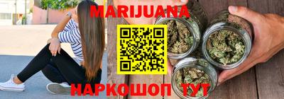 дмт Гай