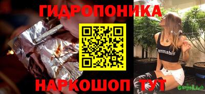 молекула духа Бийск