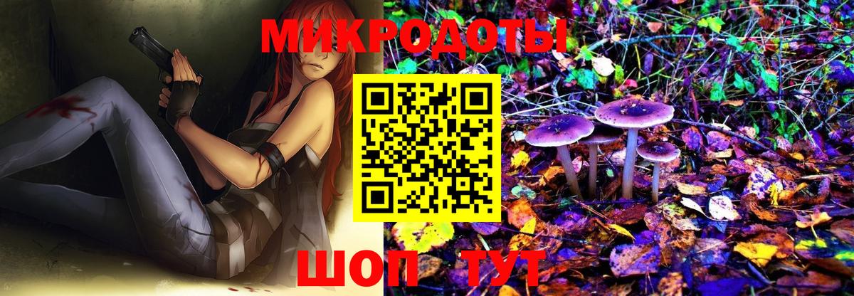 Галлюциногенные грибы мицелий  Казань  наркотики  Псилоцибиновые грибы мухоморы 