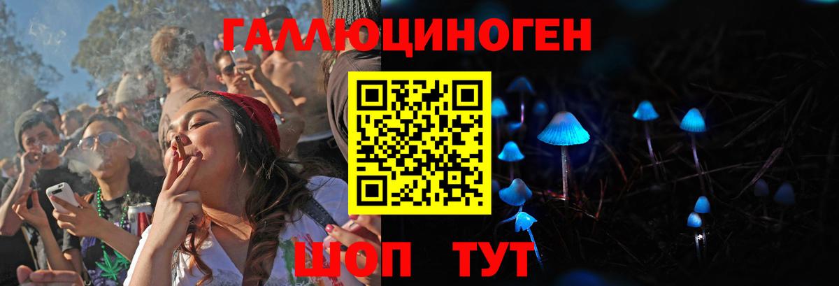 Галлюциногенные грибы MAGIC MUSHROOMS Казань